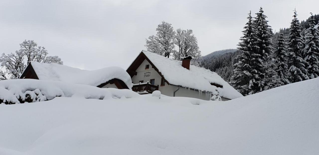 Ferienhaus Poettler Унтертауэрн Экстерьер фото
